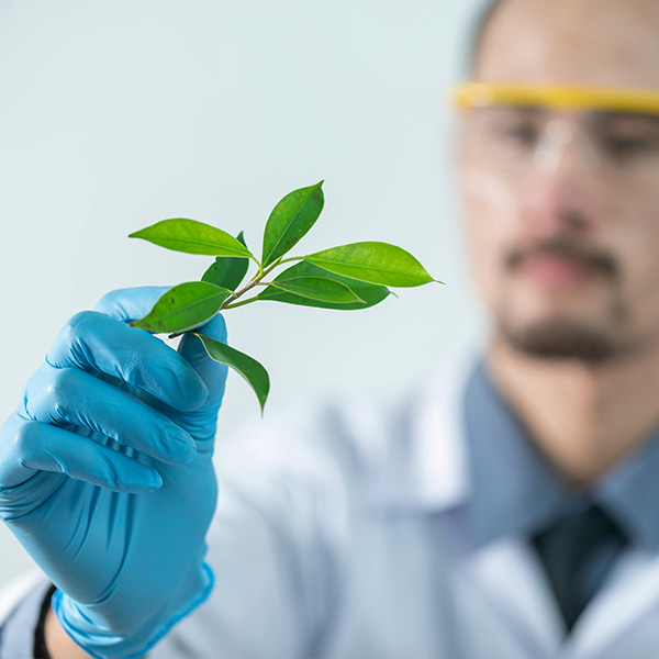 Nophie Essences Private Label About Us Guarantee